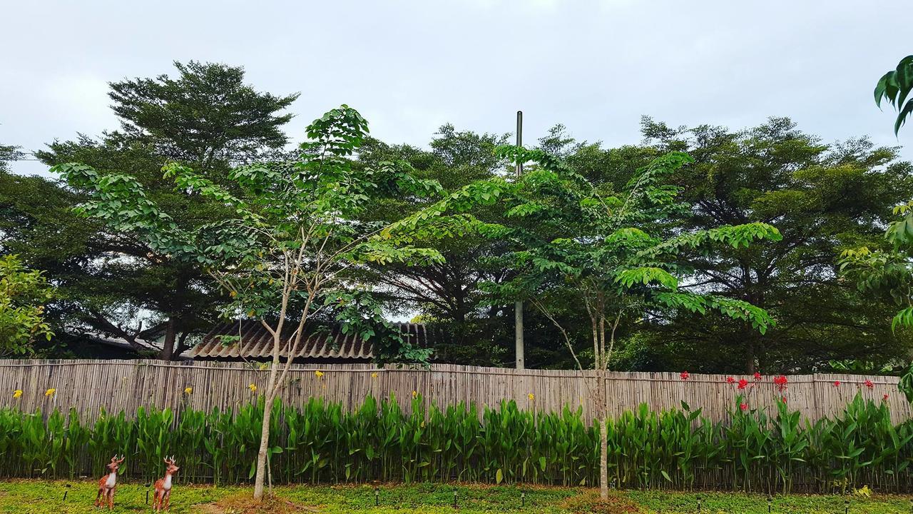 บ้านสวนมีดี ลำพูน Meedee Homestay Lamphun Ban Nong Pla Kho Extérieur photo