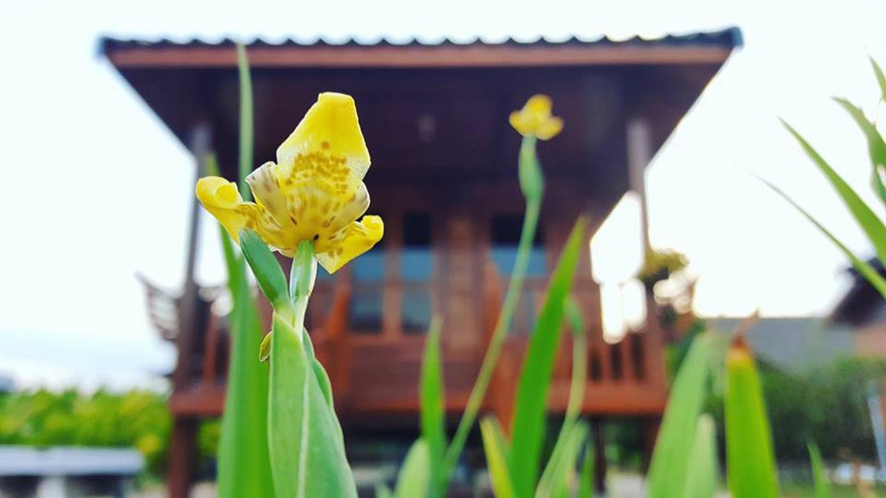 บ้านสวนมีดี ลำพูน Meedee Homestay Lamphun Ban Nong Pla Kho Extérieur photo