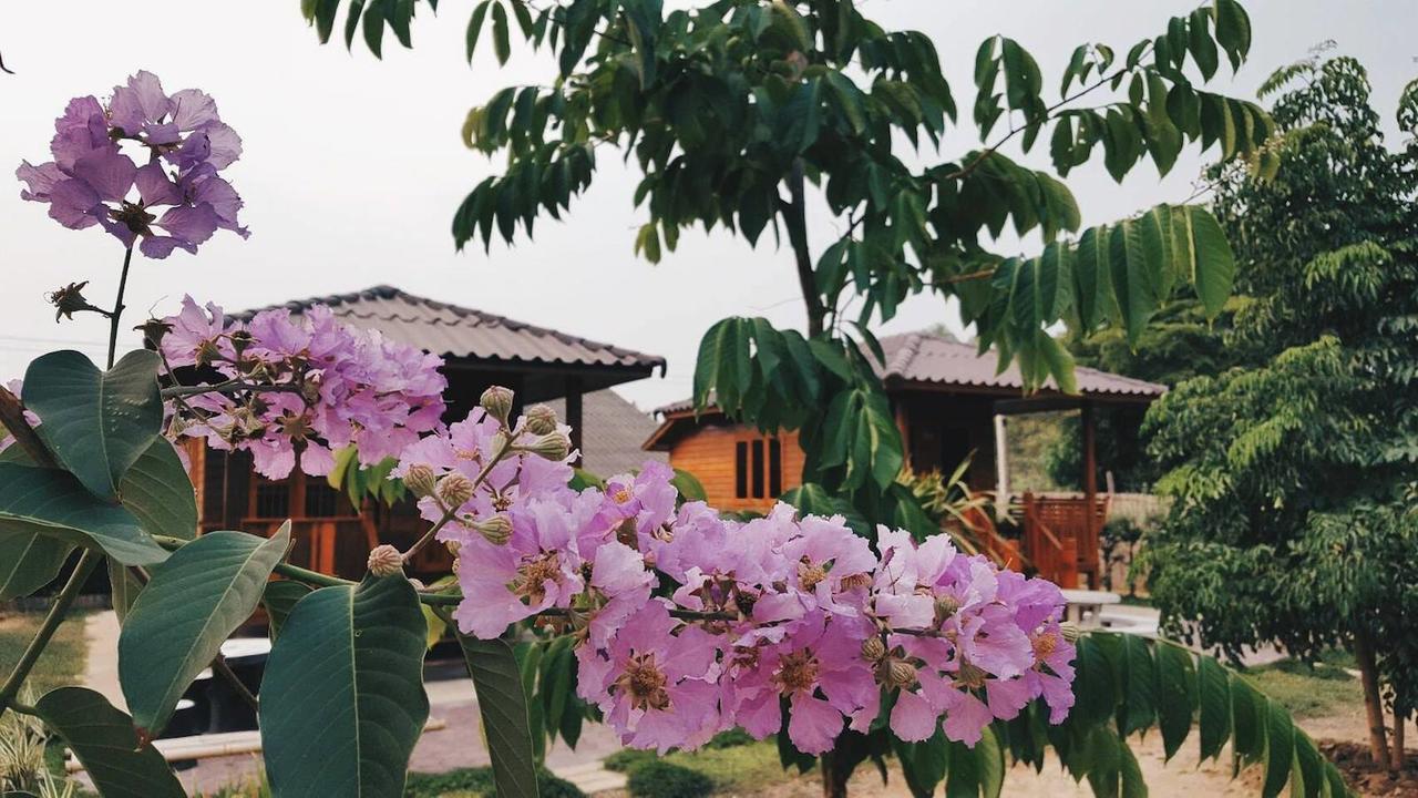 บ้านสวนมีดี ลำพูน Meedee Homestay Lamphun Ban Nong Pla Kho Extérieur photo