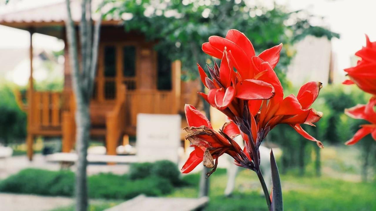 บ้านสวนมีดี ลำพูน Meedee Homestay Lamphun Ban Nong Pla Kho Extérieur photo